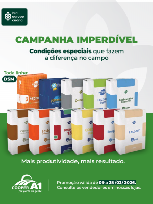 Campanha Imperd&iacute;vel Minerais