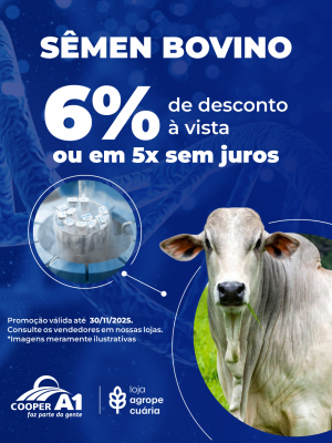Condição Especial