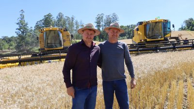 Safra Dourada da fam&iacute;lia Miotto