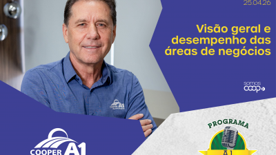 INFORMATIVO A1 25.04.25: Panorama geral das &aacute;reas de neg&oacute;cios