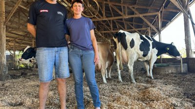 Casal Lair e Marilene Oberger, ganhadores  na categoria Vaca Holandesa Adulta 1º lugar