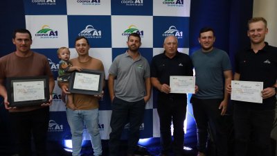 Destaques suinocultura creches