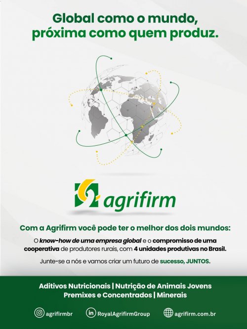 Revista Digital - página 2