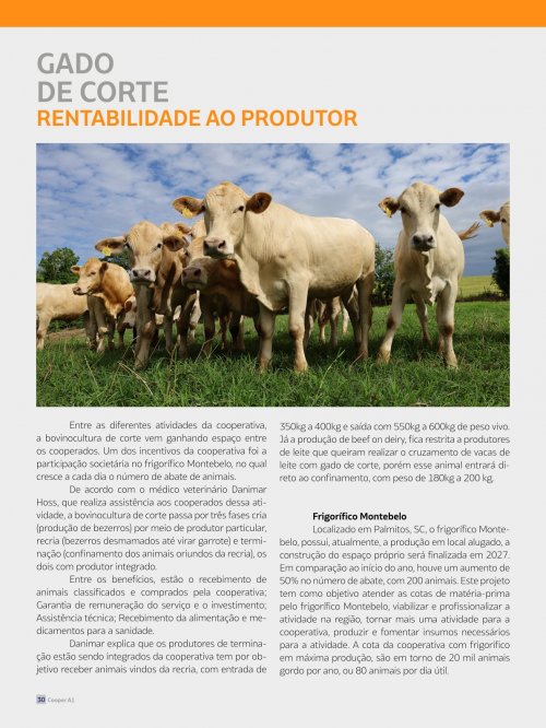 Revista Digital - página 29