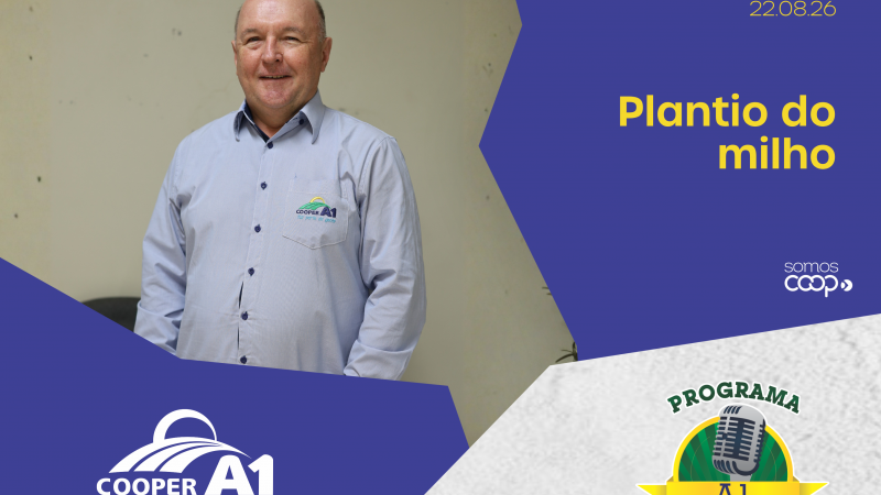 INFORMATIVO A1 22.08.26: Plantio do milho