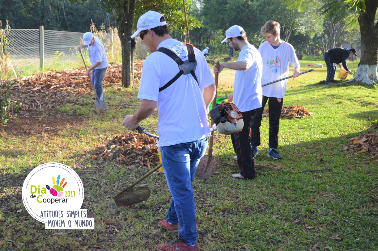 DIA DE COOPERAR 