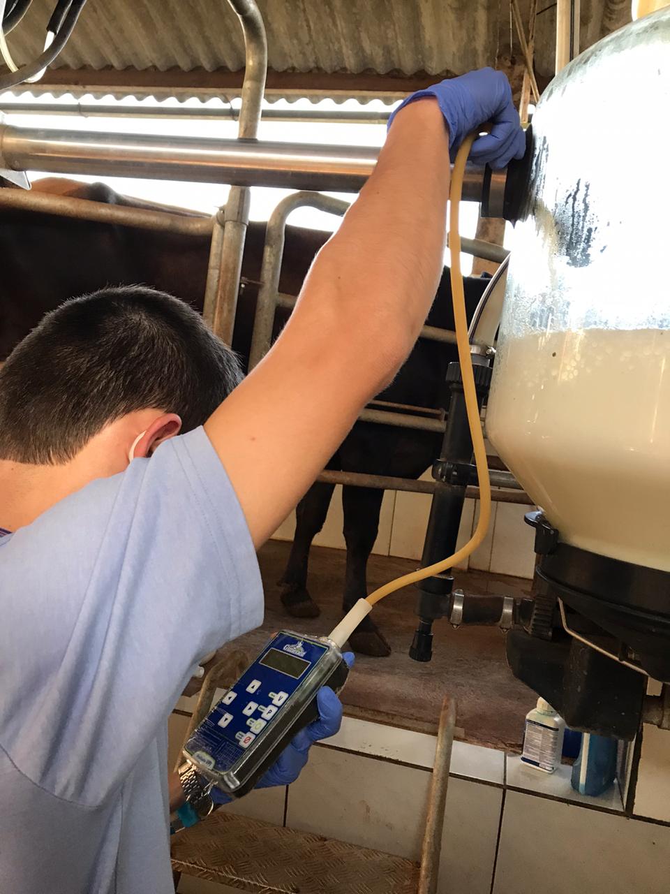 BOVINOCULTURA: Nova tabela de pagamento do leite é abordada em reunião de equipe técnica