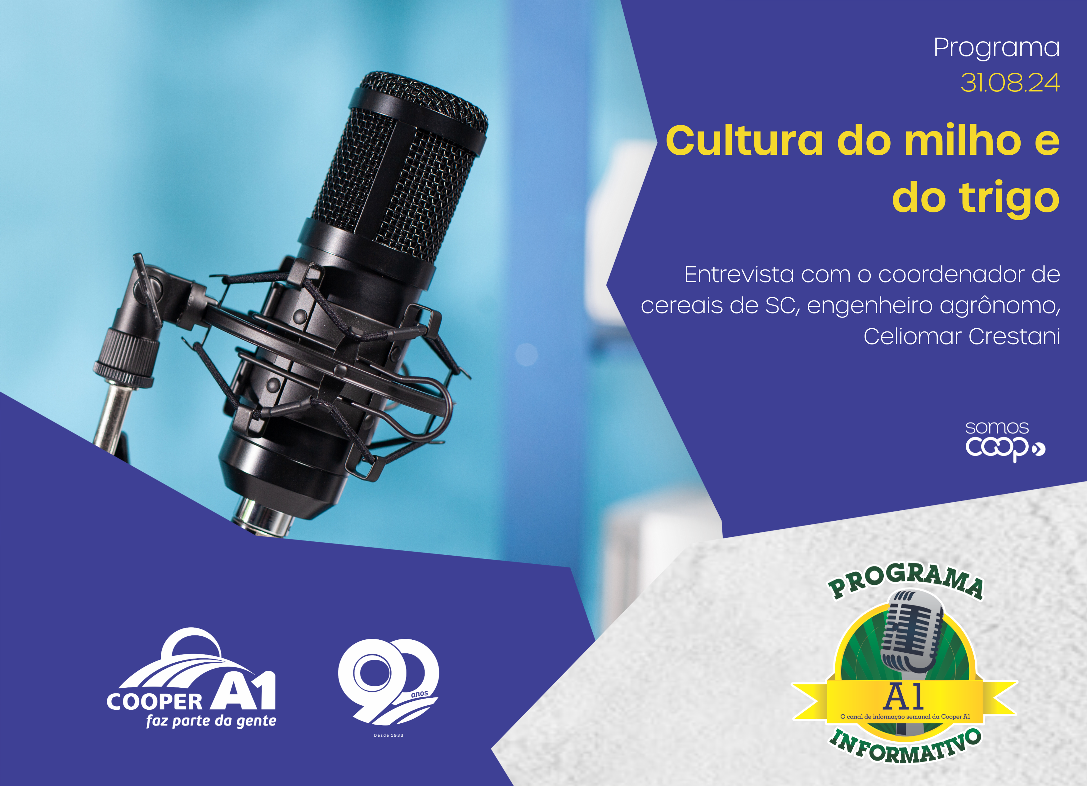 INFORMATIVO A1 31.08.24: Cultura do milho e do trigo 