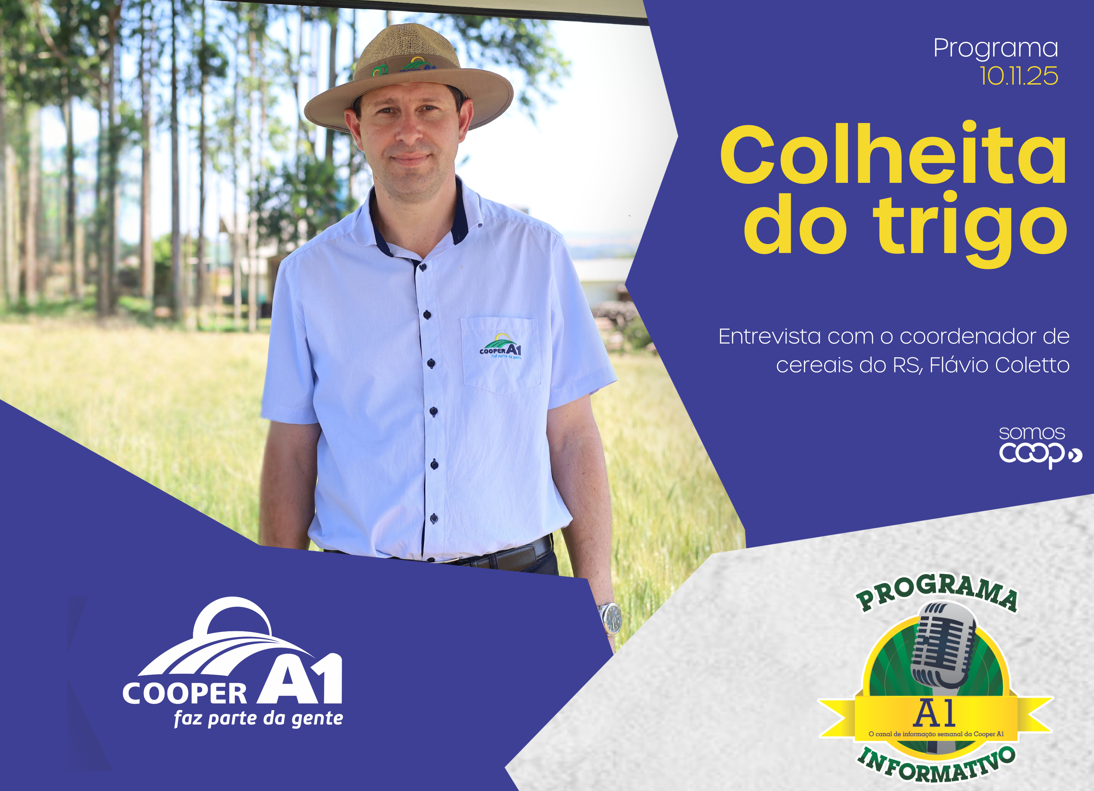 INFORMATIVO A1 10.11.25: Colheita do trigo