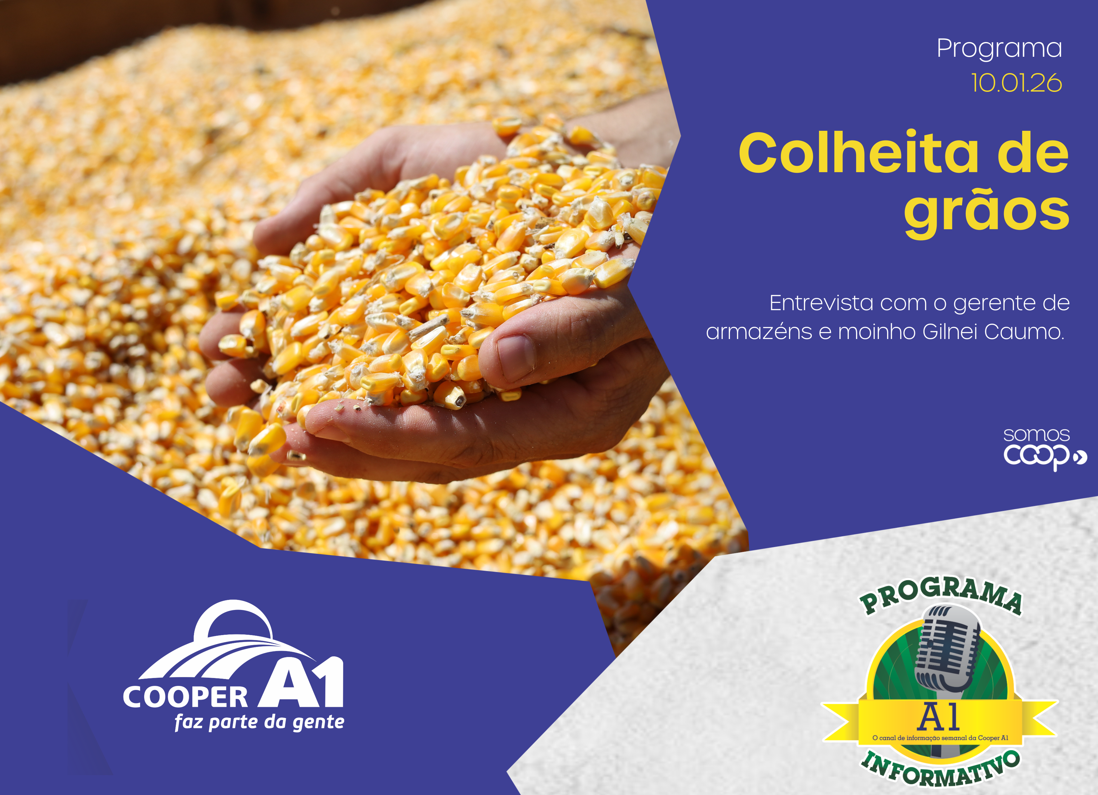 INFORMATIVO A1 10.01.26: Colheita de Grãos