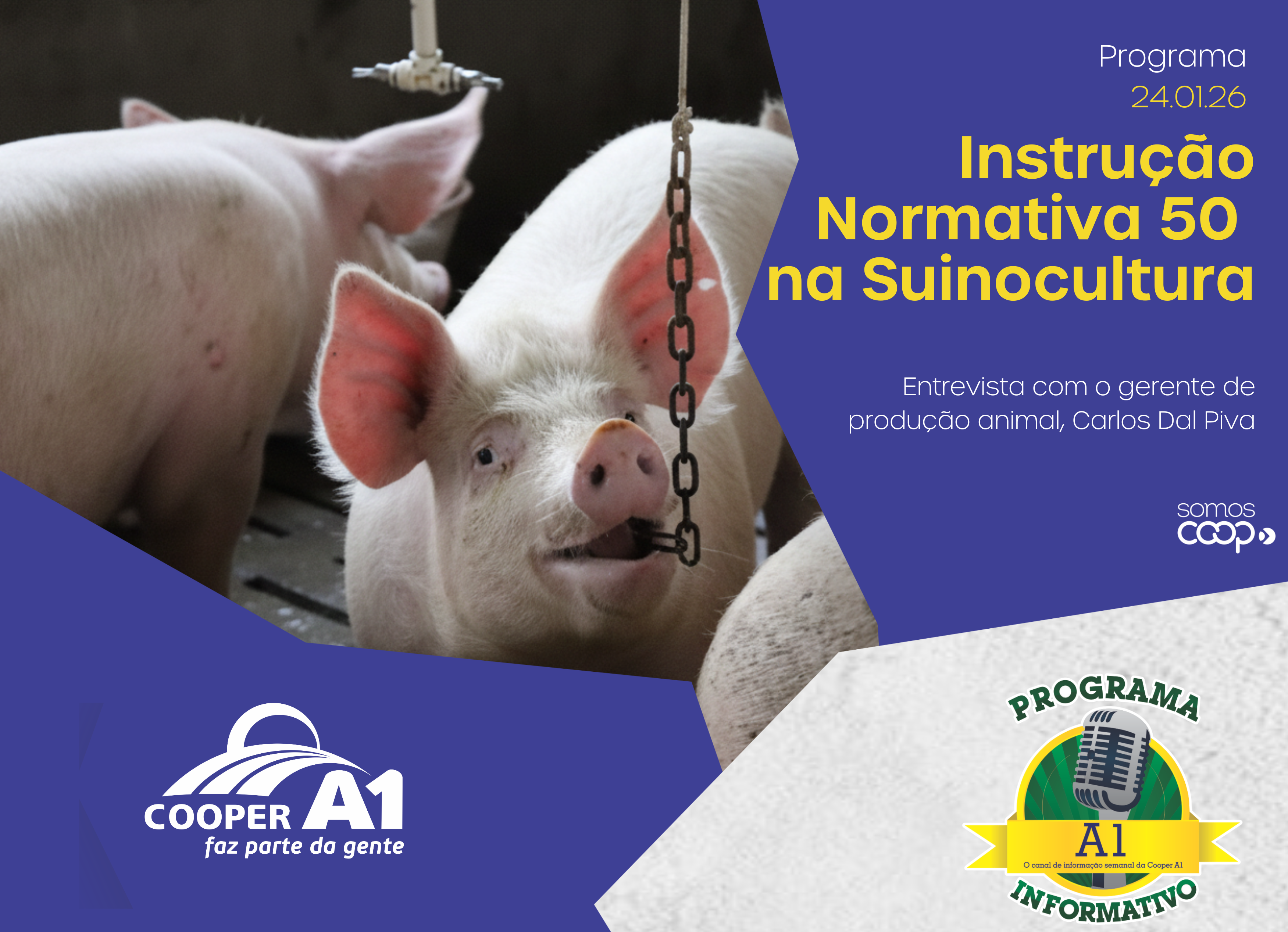 INFORMATIVO A1 24.01.26: IN 50